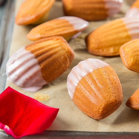 Brown Butter Madeleines w/ Rose