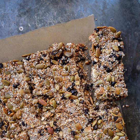 Coconut Chia Bars