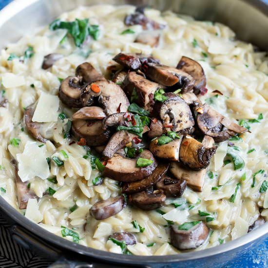 One-Pot Garlic Parmesan Orzo