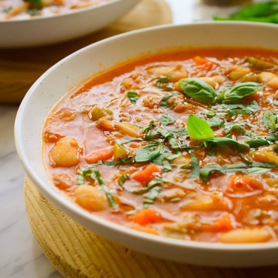 Vegetable Farro Soup