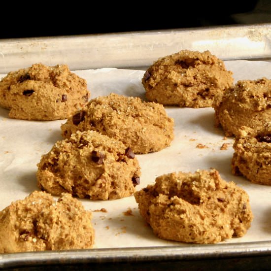 Oat Flour Pumpkin Scones