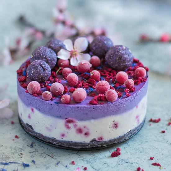 COCONUT AND MAQUI BERRY CHEESECAKE