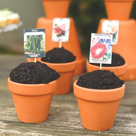 Easy Spring Garden Cupcakes