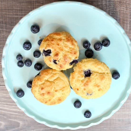 KETO LOW CARB BLUEBERRY MUFFINS
