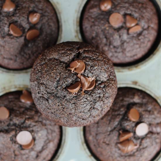 Healthy Double Chocolate Muffins