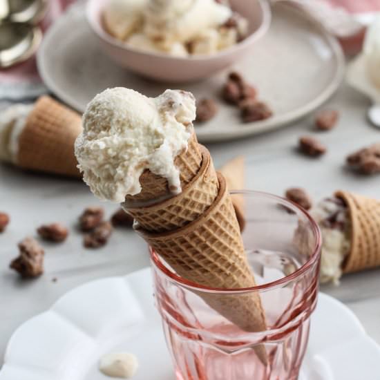 Quadruple Almond Crunch Ice Cream