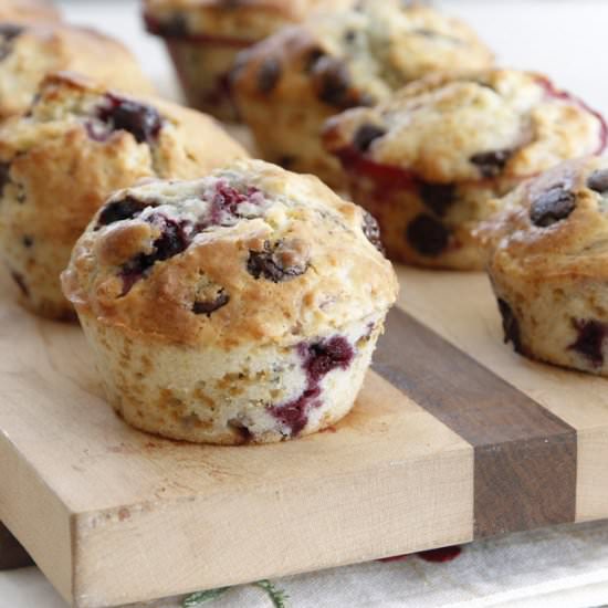Chocolate Chip Muffins
