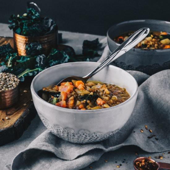 Veggie Green Lentil Soup Vegan + GF