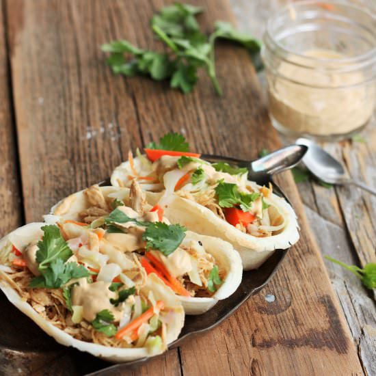 MINI ASIAN CHICKEN TACO BOATS