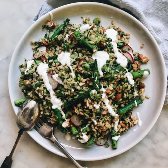 Barley, Zucchini, Asparagus Salad