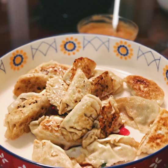 Homemade Gyoza Dumplings