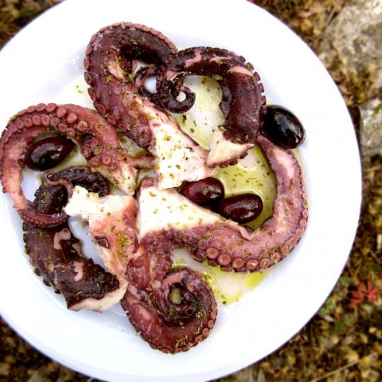 Greek Marinated Octopus