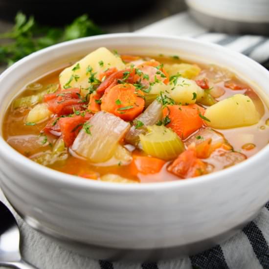 Instant Pot Vegetable Soup
