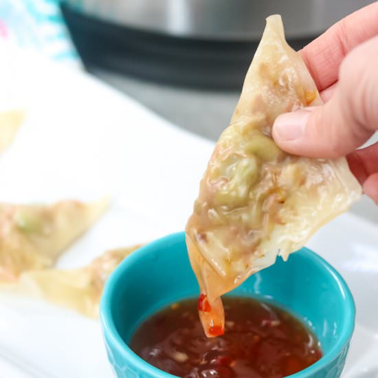 Instant Pot Potsticker