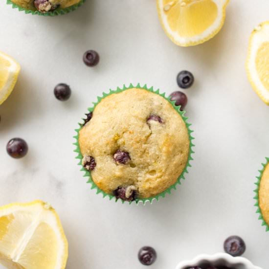 Paleo Blueberry Muffins