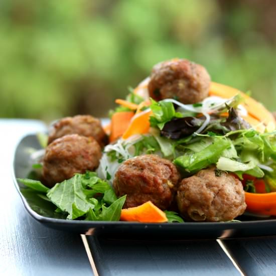 Vietnamese Bun Cha Salad