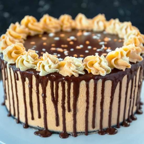 Vegan Chocolate Orange Cake