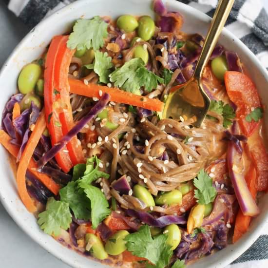 Thai Curry Soba Noodle Bowls