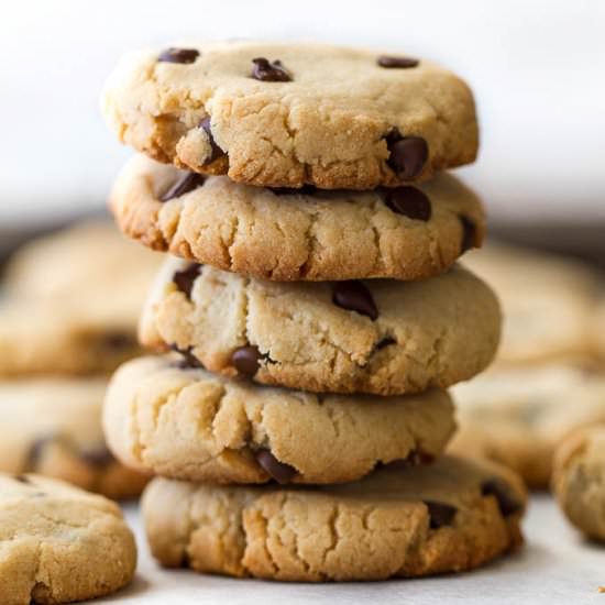 Grain Free Chocolate Chip Cookies