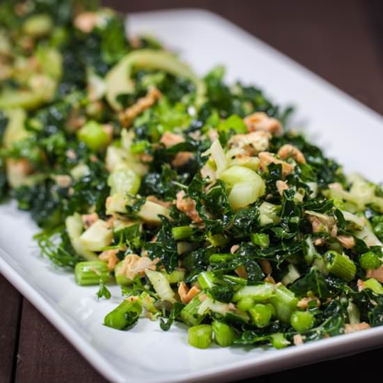 Kale, Fennel and Salmon Salad