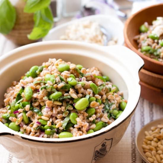 Farro w/ Edamame & Pine Nuts