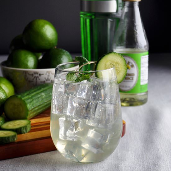 Sparkling Cucumber Gimlet with Mint