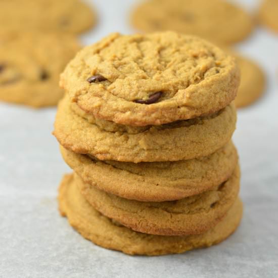 Molasses Chocolate Chip Cookies