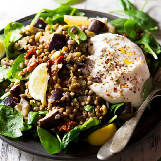 Loaded lentil salad