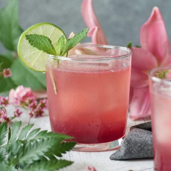 Pomegranate Gin Fizz