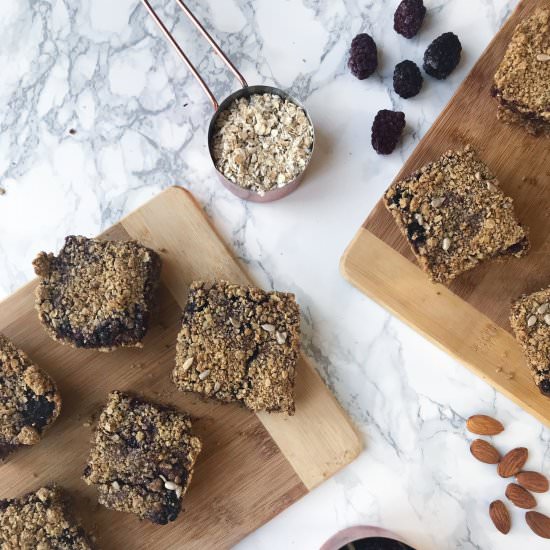 VEGAN OATY BERRY CRUMBLE BARS