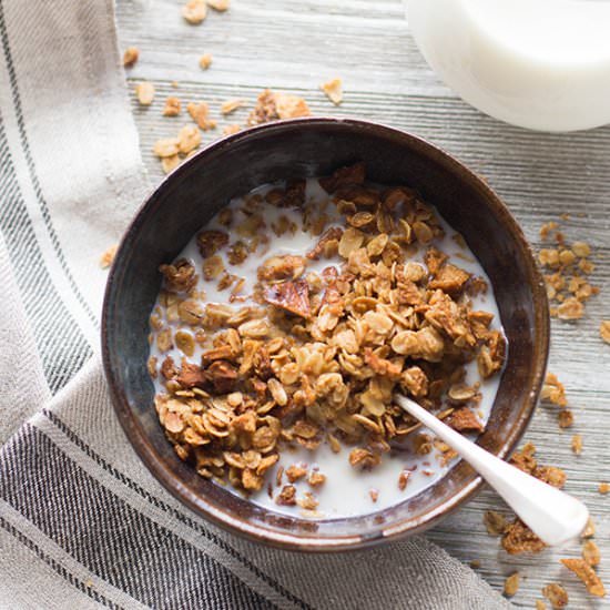Apple Crisp Granola