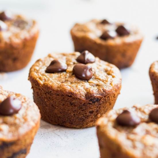 Banana Chocolate Chip Oat Muffins