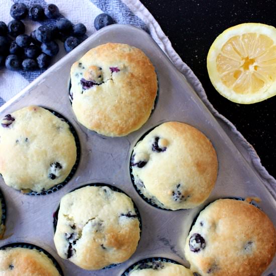 Fresh Blueberry Lemon Muffins