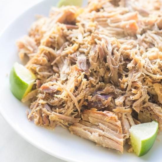 Low FODMAP Carnitas