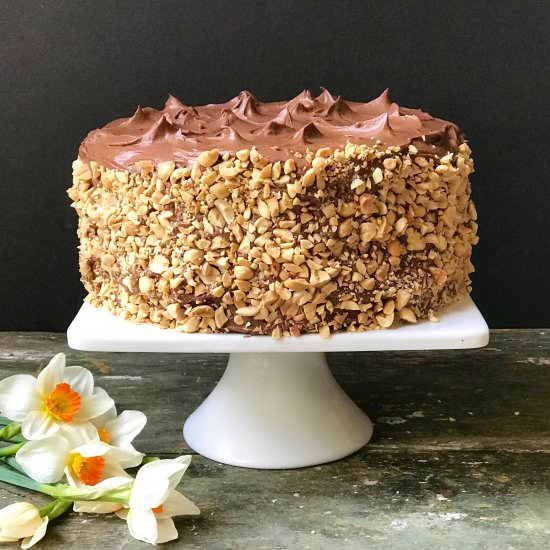 Chocolate Peanut Layer Cake