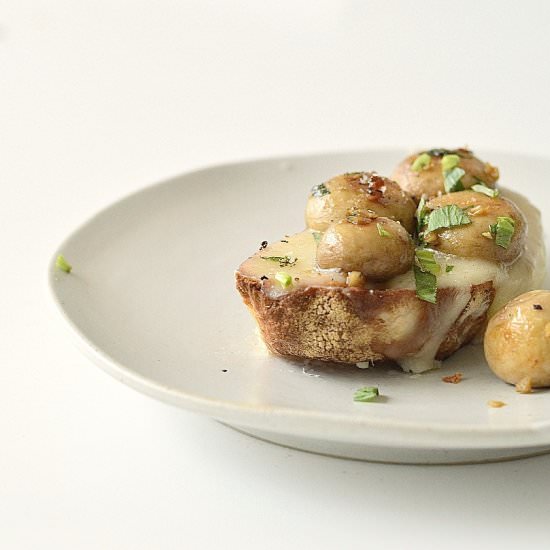 Mushroom and taleggio crostini