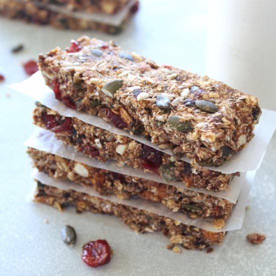 Seedy Almond Cranberry Granola Bars