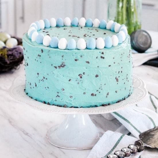 Chocolate Chip Speckled Egg Cake