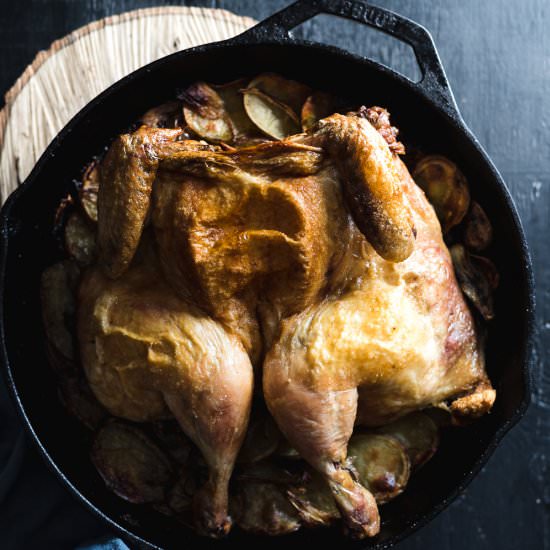 Spatchcocked Roast Chicken