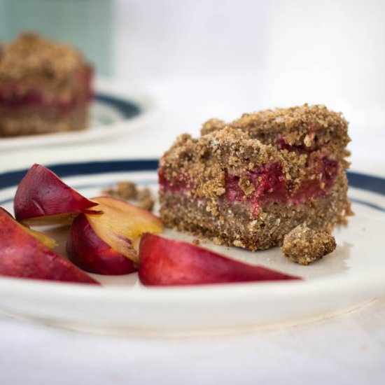 Cricket and berry breakfast bars
