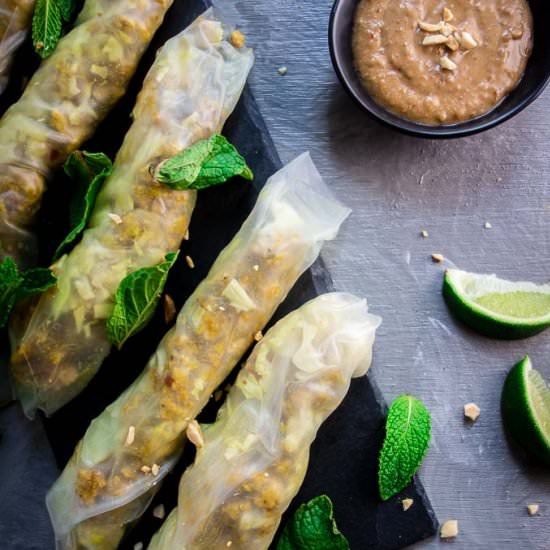 Lemongrass Chicken Spring Rolls