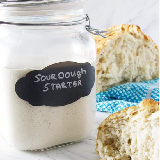 sourdough starter