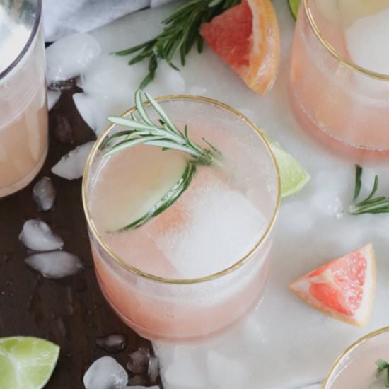 Grapefruit Gin Fizz Cocktail