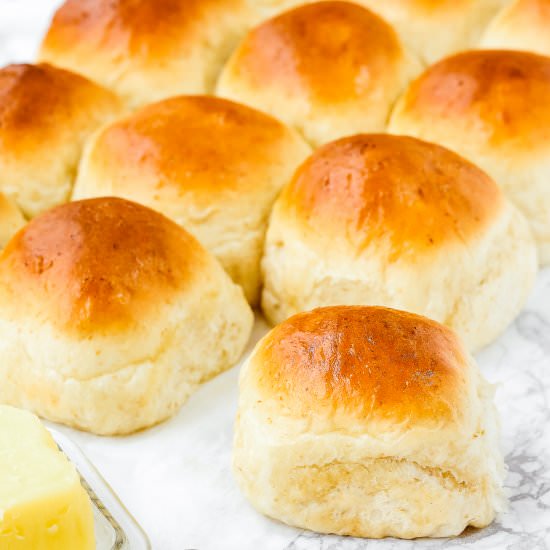 Soft No Knead Eggless Dinner Rolls