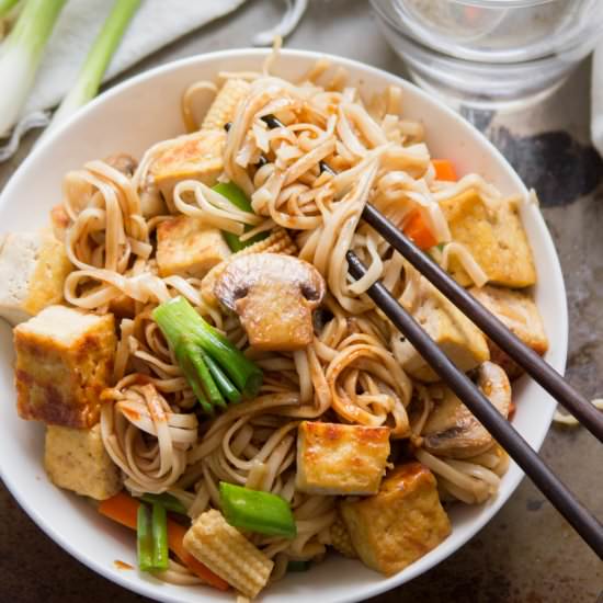 Vegan Vegetable Lo Mein