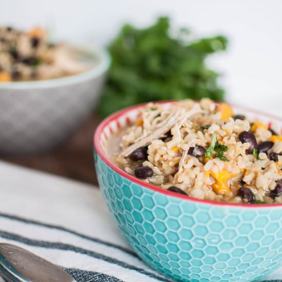 Instant Pot Mexican Chicken Stew