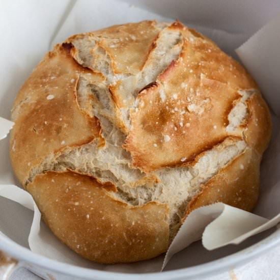 Easy No Knead Artisan Bread