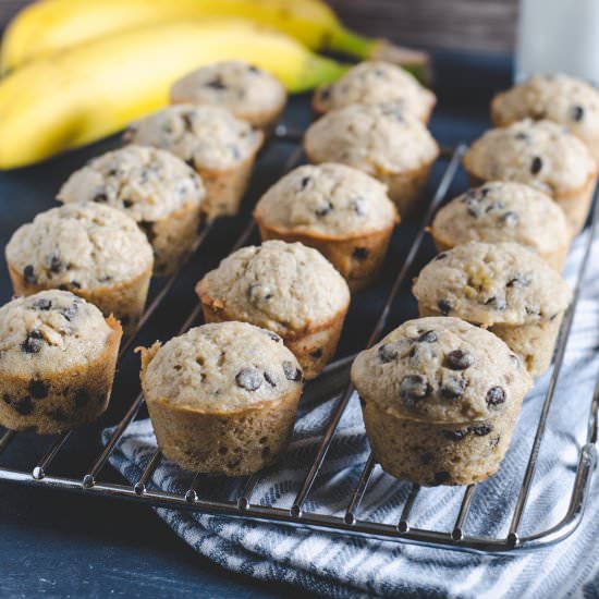Banana Chocolate Chip Mini Muffins