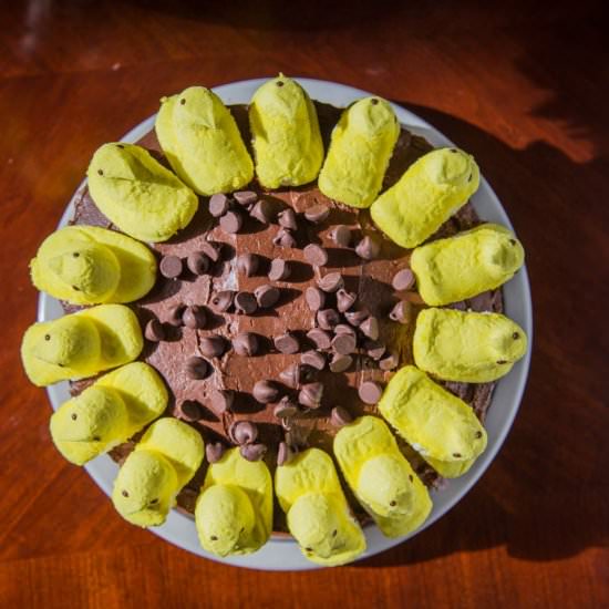 Sunflower Spring Cake