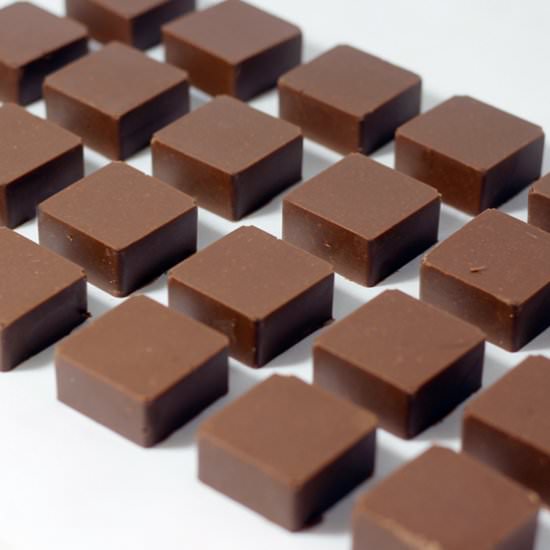 Dark Chocolate Coated Fudge Bricks